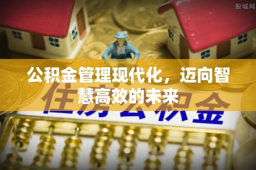 汉滨公积金管理现代化，迈向智慧高效的未来