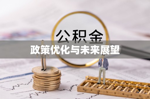 汉滨政策优化与未来展望
