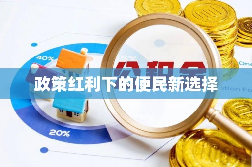 汉滨政策红利下的便民新选择