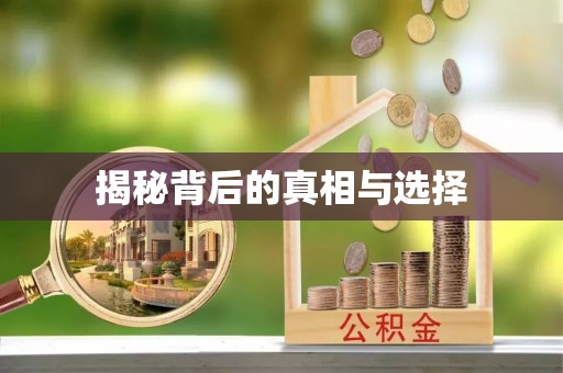 汉滨揭秘背后的真相与选择